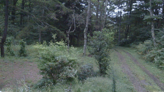 長野県菅平高原 ゆたか山荘 坂上 2026/09/12 18:00