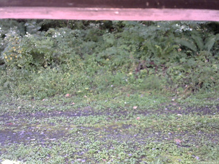 長野県菅平高原 ゆたか山荘 東側(坂下) 2026/09/13 08:45