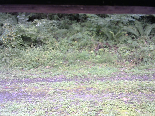 長野県菅平高原 ゆたか山荘 東側(坂下) 2026/09/13 13:15