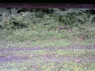 長野県菅平高原 ゆたか山荘 東側(坂下) 2026/09/13 13:30