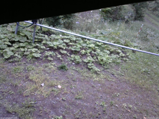 長野県菅平高原 ゆたか山荘 駐車場 2026/09/13 05:45