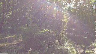 長野県菅平高原 ゆたか山荘 坂上 2026/09/13 08:00