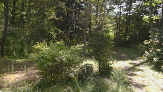 長野県菅平高原 ゆたか山荘 坂上 2026/09/13 08:45