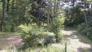 長野県菅平高原 ゆたか山荘 坂上 2026/09/13 09:30