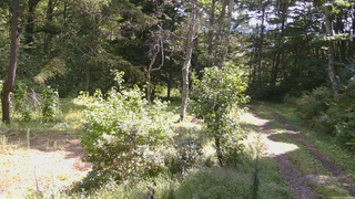長野県菅平高原 ゆたか山荘 坂上 2026/09/13 10:15