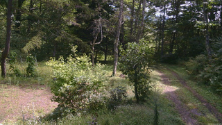 長野県菅平高原 ゆたか山荘 坂上 2026/09/13 10:30