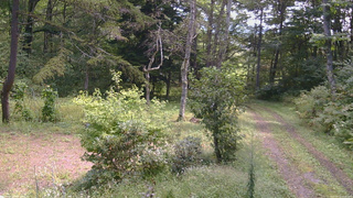 長野県菅平高原 ゆたか山荘 坂上 2026/09/13 10:45