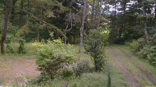 長野県菅平高原 ゆたか山荘 坂上 2026/09/13 11:00