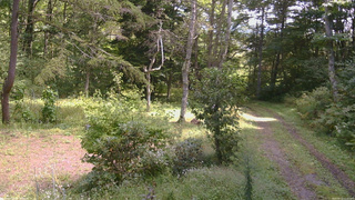 長野県菅平高原 ゆたか山荘 坂上 2026/09/13 11:15