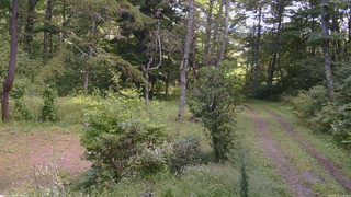 長野県菅平高原 ゆたか山荘 坂上 2026/09/13 11:30