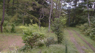 長野県菅平高原 ゆたか山荘 坂上 2026/09/13 11:45