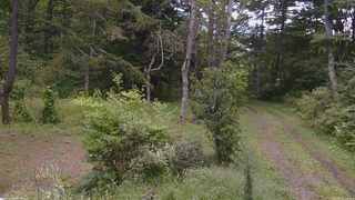 長野県菅平高原 ゆたか山荘 坂上 2026/09/13 12:00