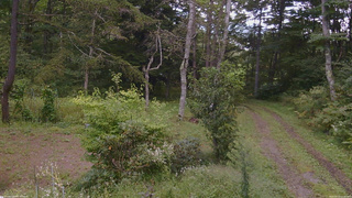 長野県菅平高原 ゆたか山荘 坂上 2026/09/13 12:30