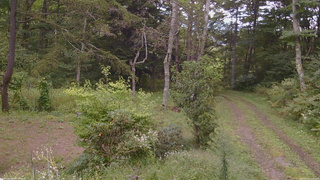 長野県菅平高原 ゆたか山荘 坂上 2026/09/13 12:45