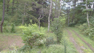 長野県菅平高原 ゆたか山荘 坂上 2026/09/13 13:00