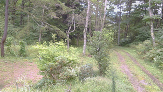 長野県菅平高原 ゆたか山荘 坂上 2026/09/13 13:15