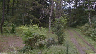 長野県菅平高原 ゆたか山荘 坂上 2026/09/13 13:30