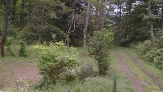 長野県菅平高原 ゆたか山荘 坂上 2026/09/13 13:45