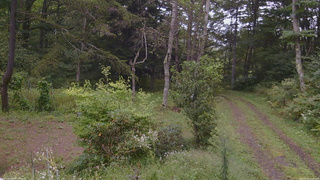 長野県菅平高原 ゆたか山荘 坂上 2026/09/13 14:00