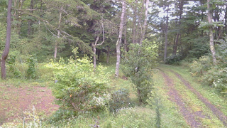 長野県菅平高原 ゆたか山荘 坂上 2026/09/13 14:30