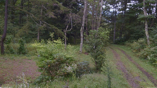 長野県菅平高原 ゆたか山荘 坂上 2026/09/13 15:30