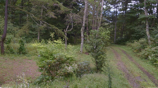 長野県菅平高原 ゆたか山荘 坂上 2026/09/13 15:45
