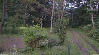 長野県菅平高原 ゆたか山荘 坂上 2026/09/13 16:30