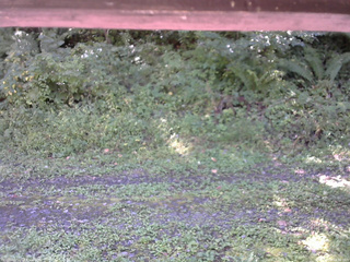 長野県菅平高原 ゆたか山荘 東側(坂下) 2026/09/14 10:30