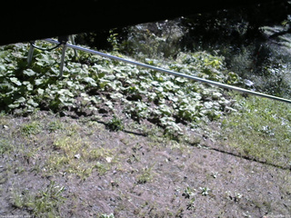 長野県菅平高原 ゆたか山荘 駐車場 2026/09/14 08:45