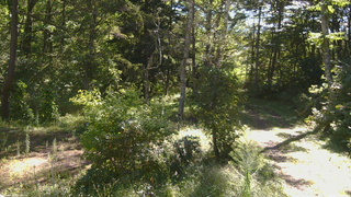 長野県菅平高原 ゆたか山荘 坂上 2026/09/14 08:45