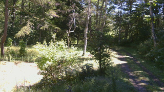 長野県菅平高原 ゆたか山荘 坂上 2026/09/14 10:45