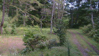 長野県菅平高原 ゆたか山荘 坂上 2026/09/14 12:45