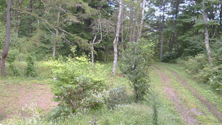 長野県菅平高原 ゆたか山荘 坂上 2026/09/14 13:00
