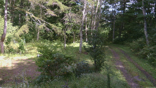 長野県菅平高原 ゆたか山荘 坂上 2026/09/14 13:15