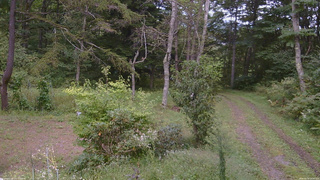 長野県菅平高原 ゆたか山荘 坂上 2026/09/14 13:30