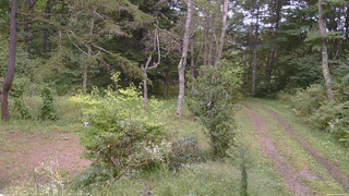 長野県菅平高原 ゆたか山荘 坂上 2026/09/14 13:45