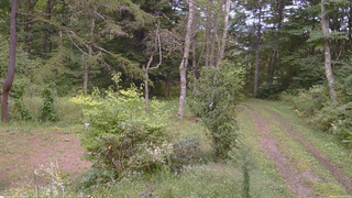 長野県菅平高原 ゆたか山荘 坂上 2026/09/14 14:00