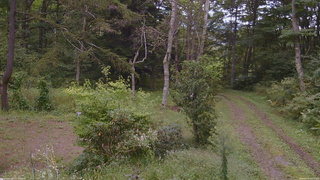 長野県菅平高原 ゆたか山荘 坂上 2026/09/14 14:15