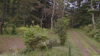 長野県菅平高原 ゆたか山荘 坂上 2026/09/14 14:30