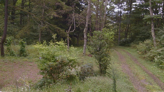 長野県菅平高原 ゆたか山荘 坂上 2026/09/14 14:45