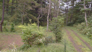 長野県菅平高原 ゆたか山荘 坂上 2026/09/14 15:00