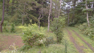 長野県菅平高原 ゆたか山荘 坂上 2026/09/14 15:15