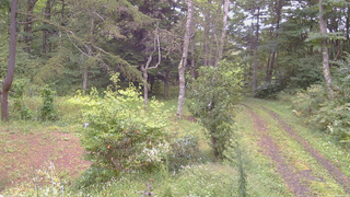 長野県菅平高原 ゆたか山荘 坂上 2026/09/14 15:30
