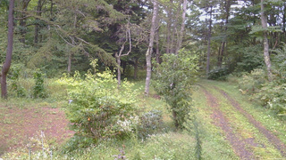 長野県菅平高原 ゆたか山荘 坂上 2026/09/14 15:45