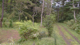 長野県菅平高原 ゆたか山荘 坂上 2026/09/14 16:30