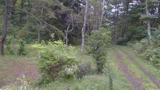 長野県菅平高原 ゆたか山荘 坂上 2026/09/14 17:15