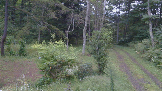 長野県菅平高原 ゆたか山荘 坂上 2026/09/14 17:30