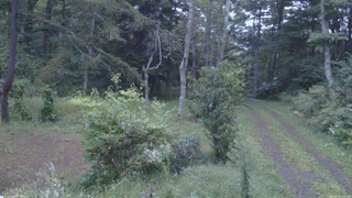 長野県菅平高原 ゆたか山荘 坂上 2026/09/14 17:45