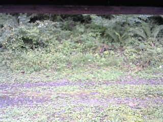 長野県菅平高原 ゆたか山荘 東側(坂下) 2026/09/15 12:15