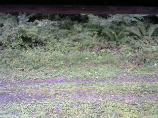 長野県菅平高原 ゆたか山荘 東側(坂下) 2026/09/15 15:45